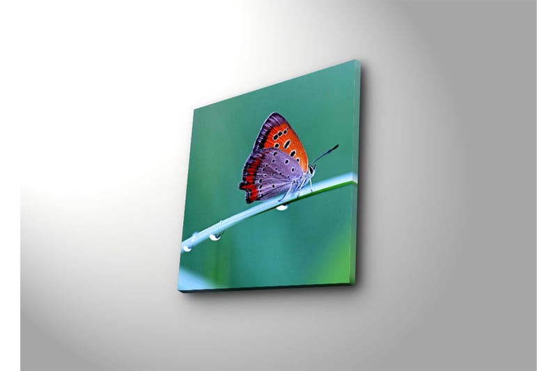 Dekorativ Canvasmålning - Flerfärgad - Inredning - Tavlor & konst - Canvastavlor