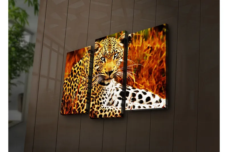 Dekorativ Canvasmålning LED-belysning 3 Delar - Flerfärgad - Inredning - Tavlor & konst - Canvastavlor