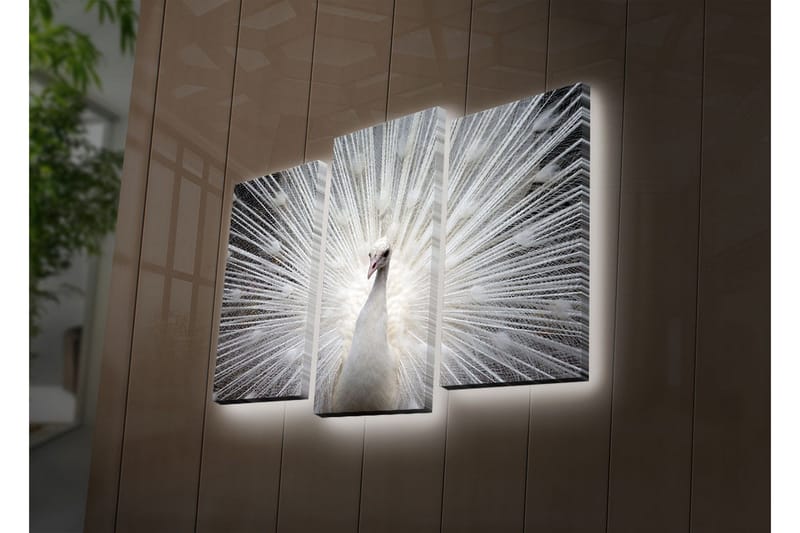 Dekorativ Canvasmålning LED-belysning 3 Delar, Flerfärgad