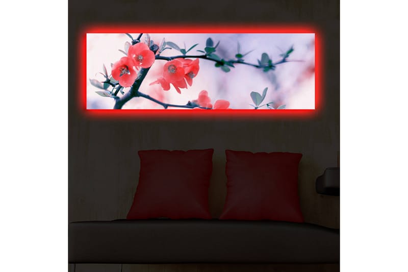 Dekorativ Canvasmålning LED-belysning - Flerfärgad - Canvastavlor