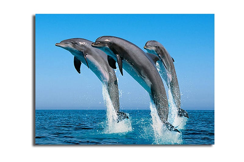 Dekorativ Canvastavla 28x38 cm, Flerfärgad