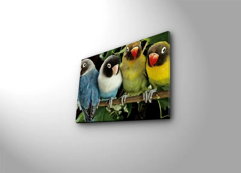 Dekorativ Canvastavla 28x38 cm, Flerfärgad