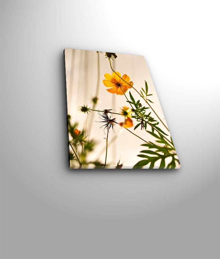 Dekorativ Canvastavla 28x38 cm - Flerfärgad - Inredning - Tavlor & konst - Canvastavlor