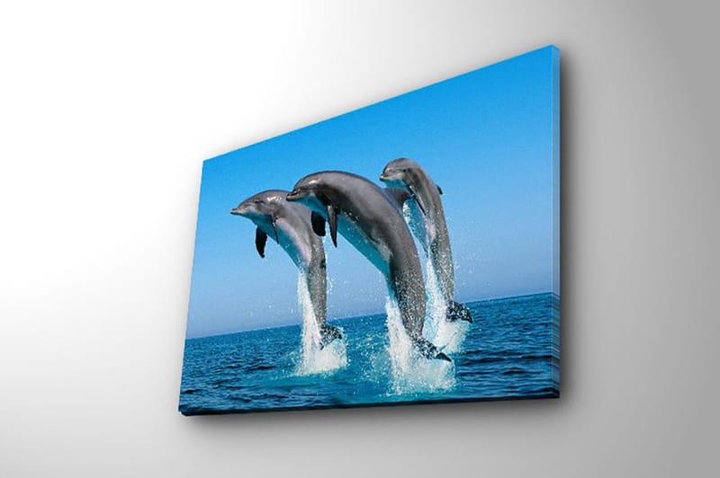 Dekorativ Canvastavla 28x38 cm - Flerfärgad - Inredning - Tavlor & konst - Canvastavlor