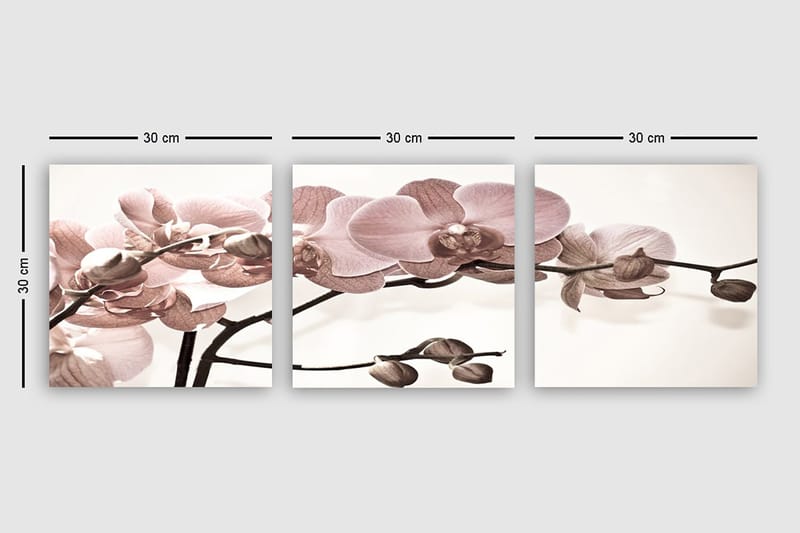 Dekorativ Canvastavla 3-Delar 30x30 cm - Flerfärgad - Inredning - Tavlor & konst - Canvastavlor