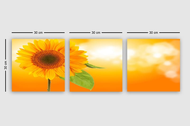 Dekorativ Canvastavla 3-Delar 30x30 cm - Flerfärgad - Inredning - Tavlor & konst - Canvastavlor