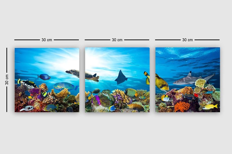 Dekorativ Canvastavla 3-Delar 30x30 cm - Flerfärgad - Inredning - Tavlor & konst - Canvastavlor