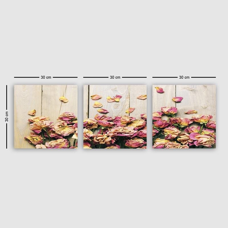 Dekorativ Canvastavla 3-Delar 30x30 cm, Flerfärgad
