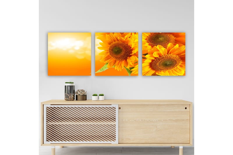 Dekorativ Canvastavla 3-Delar 30x30 cm - Flerfärgad - Inredning - Tavlor & konst - Canvastavlor