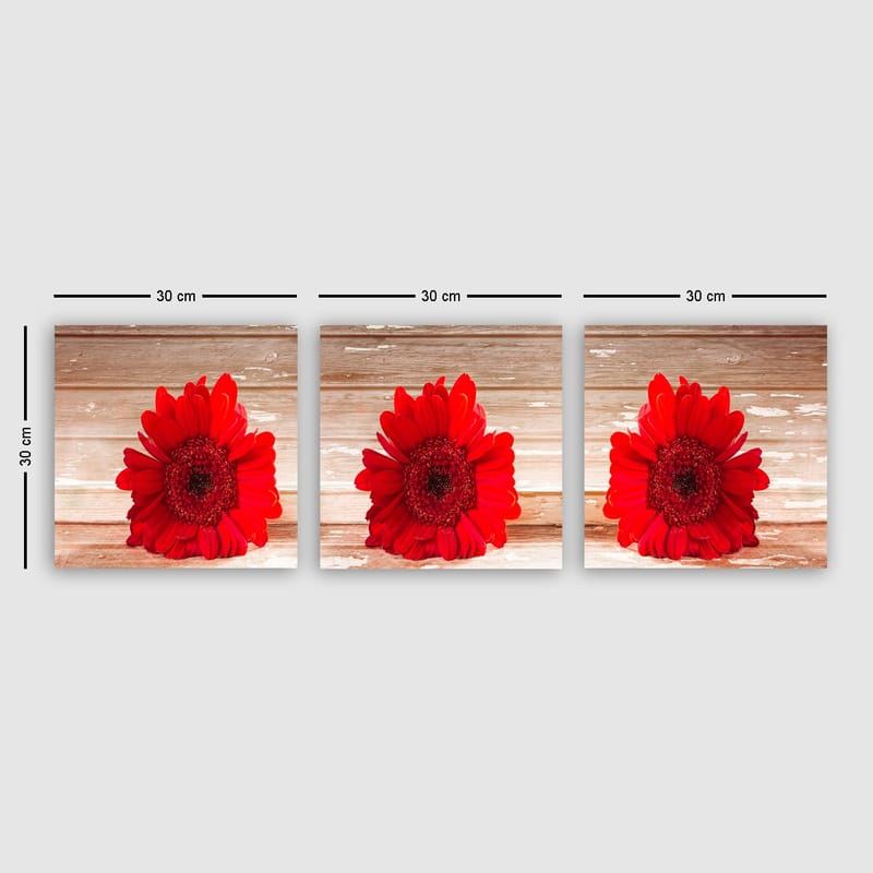 Dekorativ Canvastavla 3-Delar 30x30 cm - Flerfärgad - Inredning - Tavlor & konst - Canvastavlor