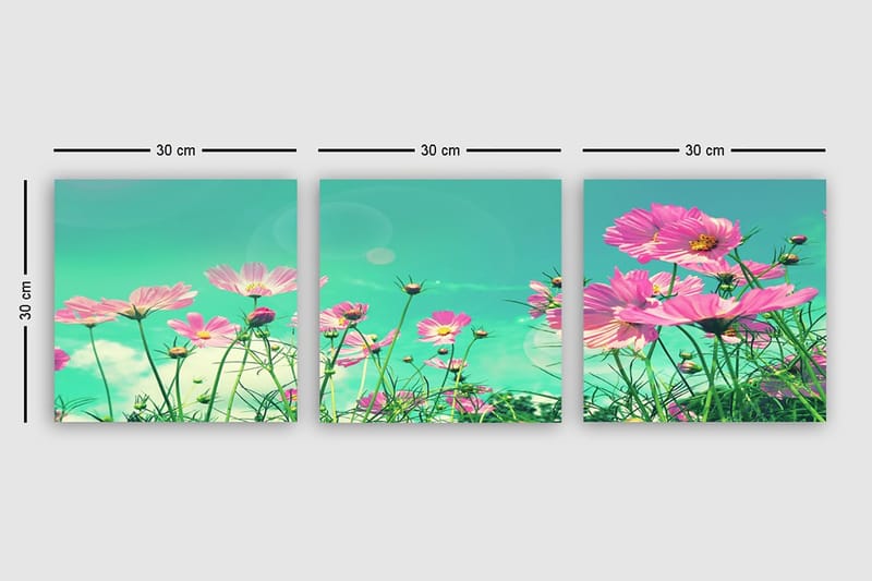 Dekorativ Canvastavla 3-Delar 30x30 cm - Flerfärgad - Inredning - Tavlor & konst - Canvastavlor