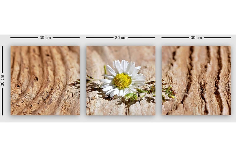 Dekorativ Canvastavla 3-Delar 30x30 cm - Flerfärgad - Inredning - Tavlor & konst - Canvastavlor