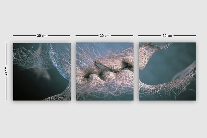 Dekorativ Canvastavla 3-Delar 30x30 cm - Flerfärgad - Inredning - Tavlor & konst - Canvastavlor