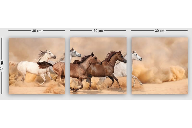 Dekorativ Canvastavla 3-Delar 30x30 cm - Flerfärgad - Inredning - Tavlor & konst - Canvastavlor