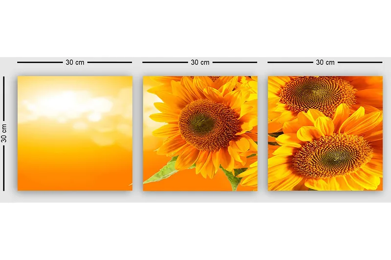 Dekorativ Canvastavla 3-Delar 30x30 cm - Flerfärgad - Inredning - Tavlor & konst - Canvastavlor