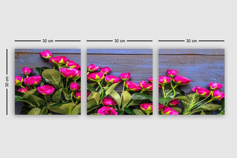 Dekorativ Canvastavla 3-Delar 30x30 cm - Flerfärgad - Inredning - Tavlor & konst - Canvastavlor
