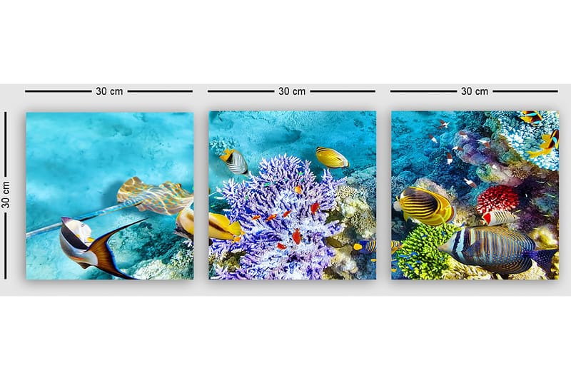 Dekorativ Canvastavla 3-Delar 30x30 cm - Flerfärgad - Inredning - Tavlor & konst - Canvastavlor