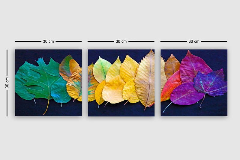 Dekorativ Canvastavla 3-Delar 30x30 cm - Flerfärgad - Inredning - Tavlor & konst - Canvastavlor