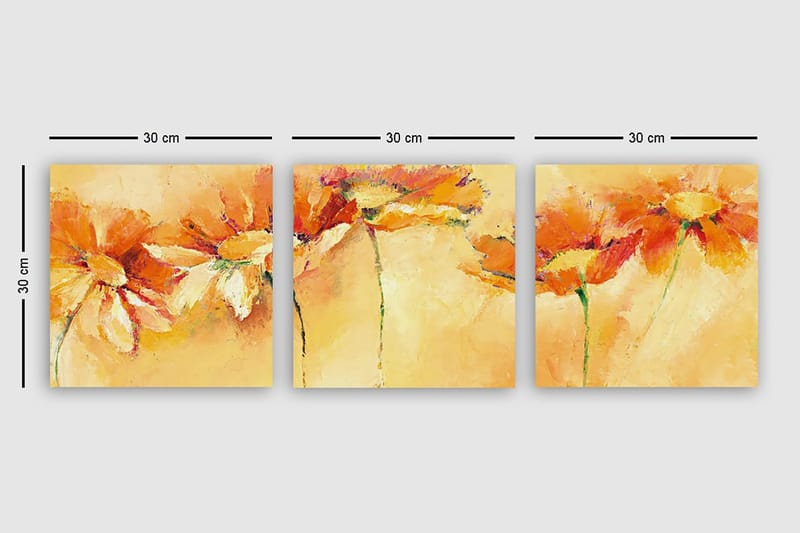 Dekorativ Canvastavla 3-Delar 30x30 cm - Flerfärgad - Inredning - Tavlor & konst - Canvastavlor