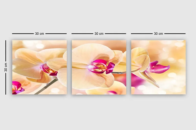Dekorativ Canvastavla 3-Delar 30x30 cm - Flerfärgad - Inredning - Tavlor & konst - Canvastavlor