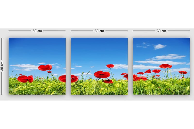Dekorativ Canvastavla 3-Delar 30x30 cm - Flerfärgad - Inredning - Tavlor & konst - Canvastavlor