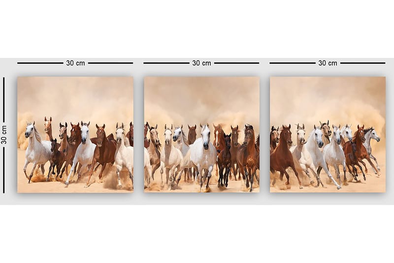 Dekorativ Canvastavla 3-Delar 30x30 cm - Flerfärgad - Inredning - Tavlor & konst - Canvastavlor