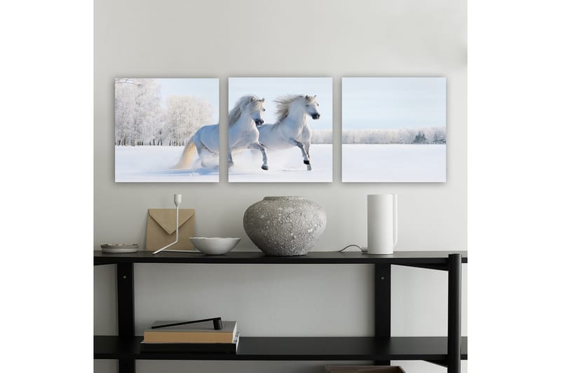 Dekorativ Canvastavla 3-Delar 30x30 cm - Flerfärgad - Inredning - Tavlor & konst - Canvastavlor