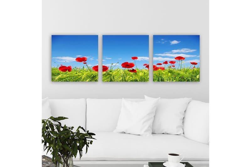 Dekorativ Canvastavla 3-Delar 30x30 cm, Flerfärgad