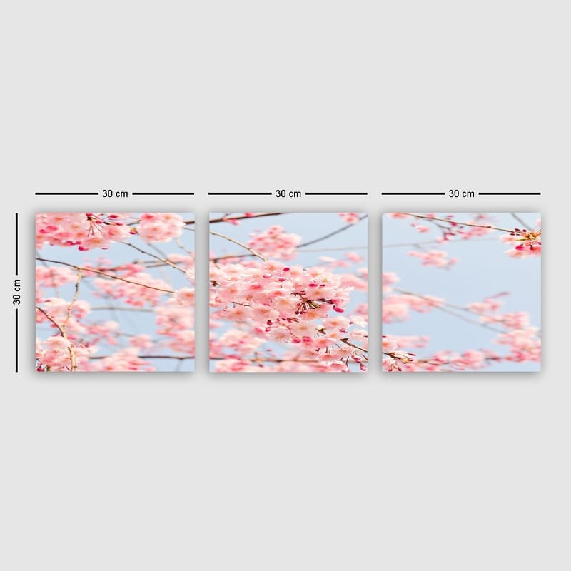 Dekorativ Canvastavla 3-Delar 30x30 cm, Flerfärgad