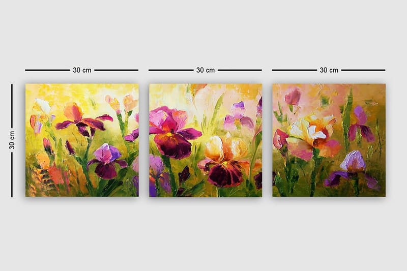 Dekorativ Canvastavla 3-Delar 30x30 cm - Flerfärgad - Inredning - Tavlor & konst - Canvastavlor