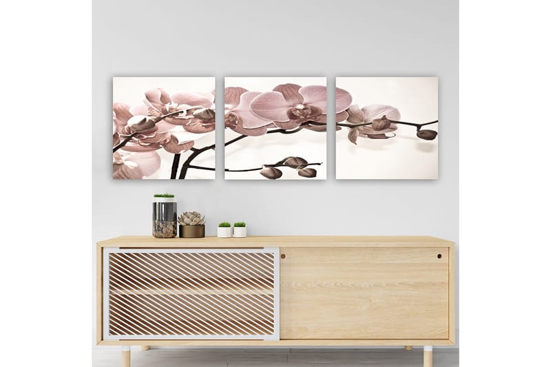 Dekorativ Canvastavla 3-Delar 30x30 cm, Flerfärgad