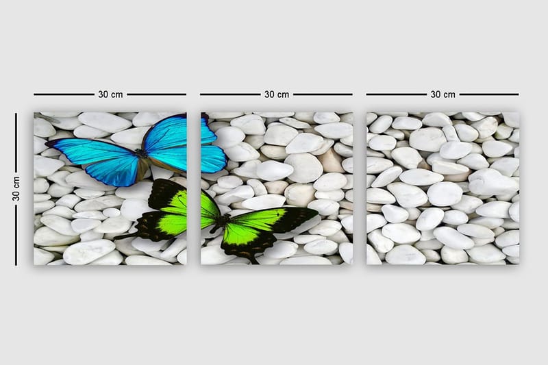 Dekorativ Canvastavla 3-Delar 30x30 cm - Flerfärgad - Inredning - Tavlor & konst - Canvastavlor