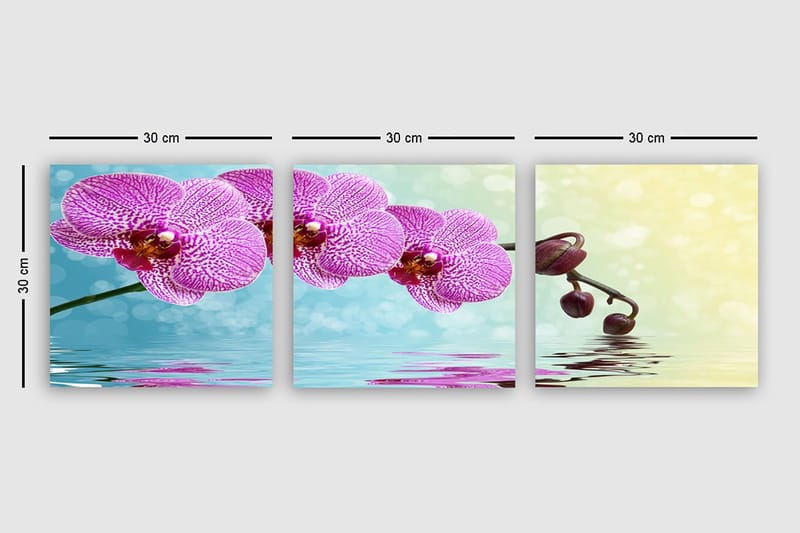 Dekorativ Canvastavla 3-Delar 30x30 cm - Flerfärgad - Inredning - Tavlor & konst - Canvastavlor