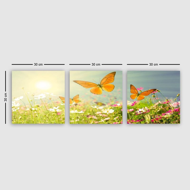 Dekorativ Canvastavla 3-Delar 30x30 cm, Flerfärgad