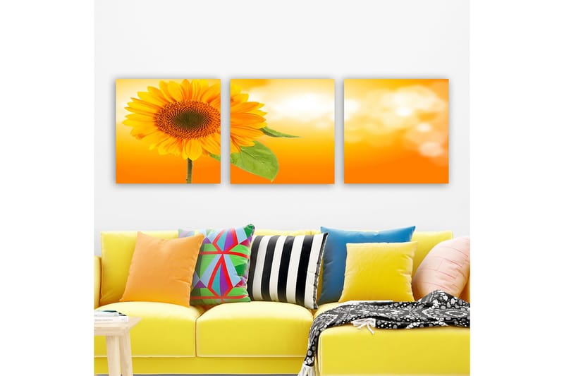 Dekorativ Canvastavla 3-Delar 30x30 cm, Flerfärgad