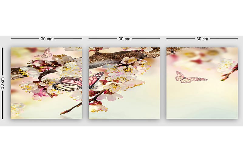 Dekorativ Canvastavla 3-Delar 30x30 cm - Flerfärgad - Inredning - Tavlor & konst - Canvastavlor