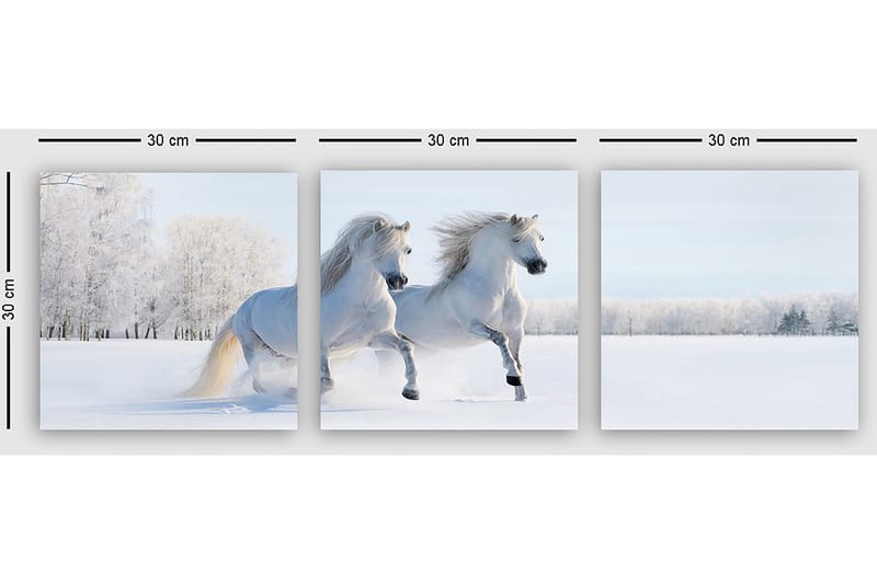 Dekorativ Canvastavla 3-Delar 30x30 cm - Flerfärgad - Inredning - Tavlor & konst - Canvastavlor