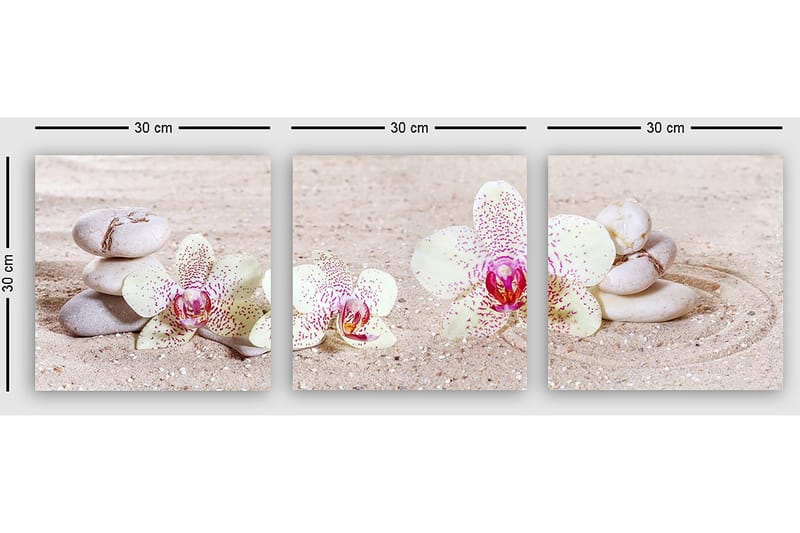Dekorativ Canvastavla 3-Delar 30x30 cm - Flerfärgad - Inredning - Tavlor & konst - Canvastavlor