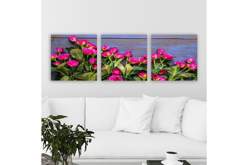 Dekorativ Canvastavla 3-Delar 30x30 cm, Flerfärgad