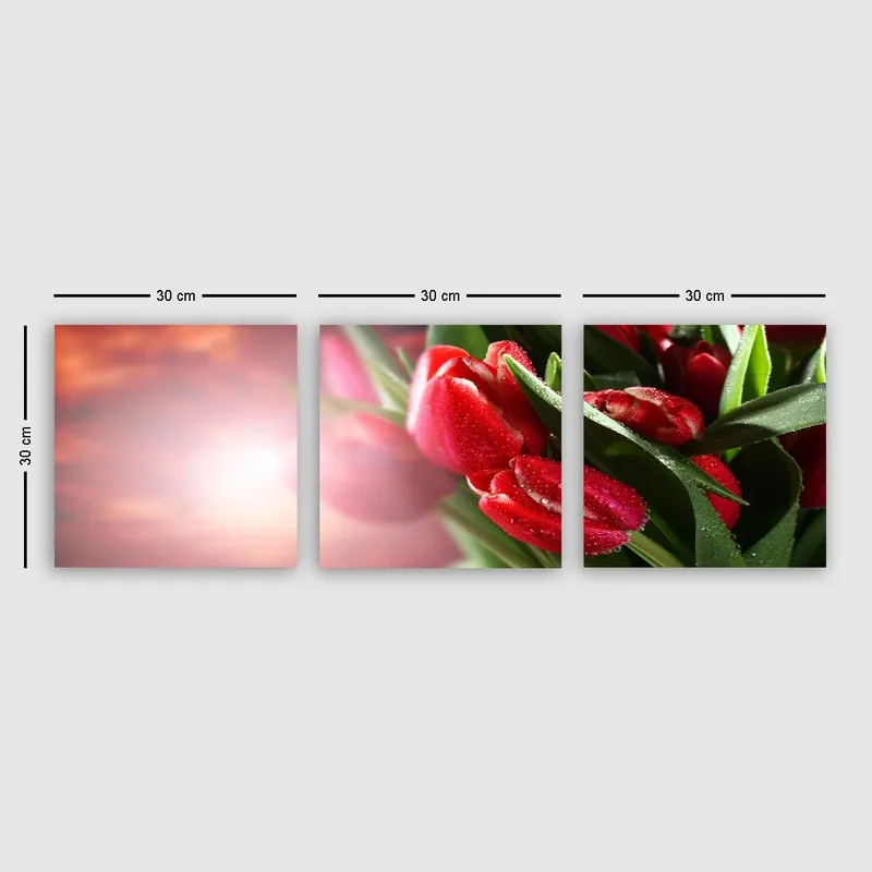 Dekorativ Canvastavla 3-Delar 30x30 cm, Flerfärgad