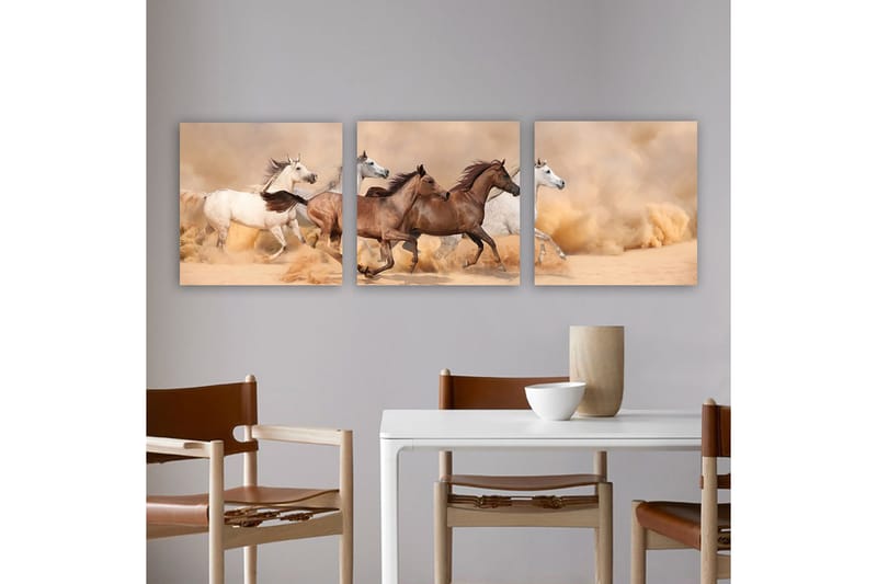 Dekorativ Canvastavla 3-Delar 30x30 cm, Flerfärgad