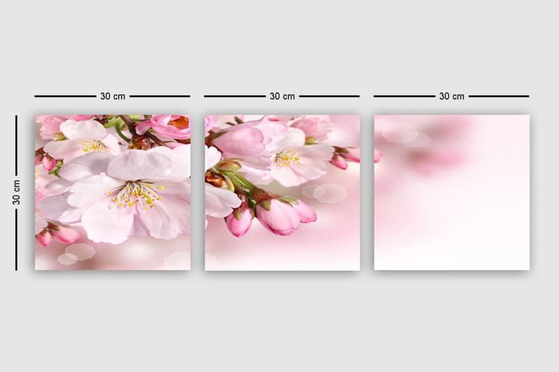 Dekorativ Canvastavla 3-Delar 30x30 cm - Flerfärgad - Inredning - Tavlor & konst - Canvastavlor