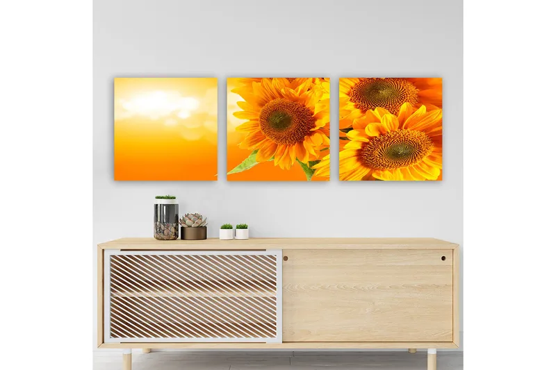 Dekorativ Canvastavla 3-Delar 30x30 cm, Flerfärgad