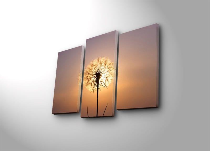 Dekorativ Canvastavla 3-Delar 45x20 cm, Flerfärgad