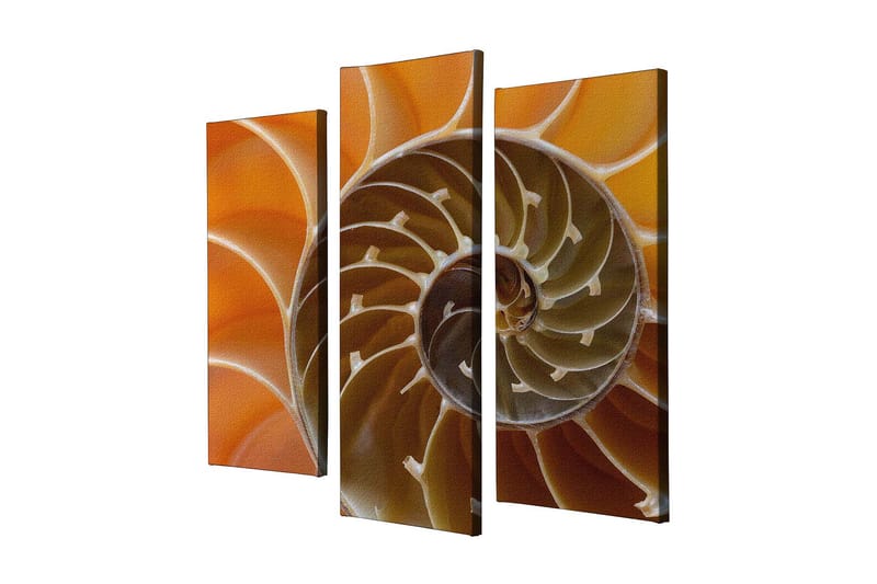 Dekorativ Canvastavla 3-Delar 45x20 cm - Flerfärgad - Inredning - Tavlor & konst - Canvastavlor