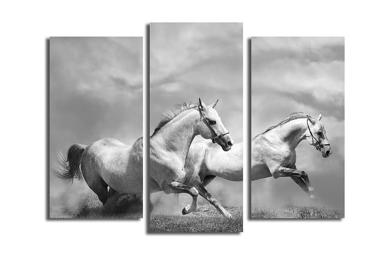 Dekorativ Canvastavla 3-Delar 45x20 cm - Flerfärgad - Inredning - Tavlor & konst - Canvastavlor