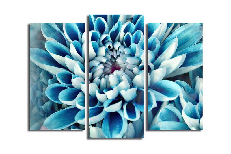Dekorativ Canvastavla 3-Delar 45x20 cm - Flerfärgad - Inredning - Tavlor & konst - Canvastavlor