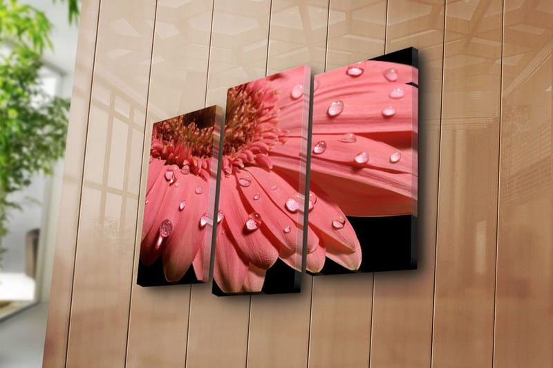 Dekorativ Canvastavla 3-Delar 45x20 cm - Flerfärgad - Inredning - Tavlor & konst - Canvastavlor