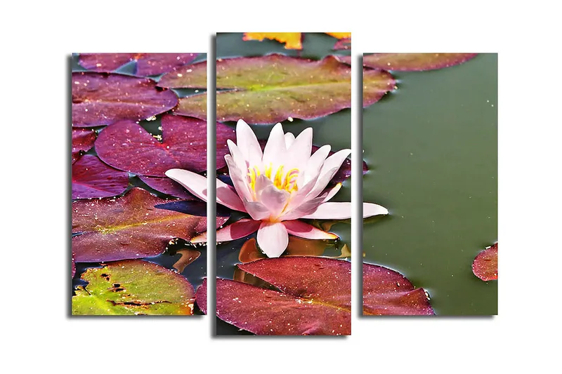 Dekorativ Canvastavla 3-Delar 45x20 cm, Flerfärgad