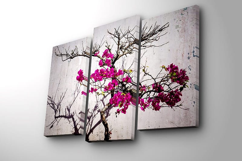 Dekorativ Canvastavla 3-Delar 45x20 cm - Flerfärgad - Inredning - Tavlor & konst - Canvastavlor